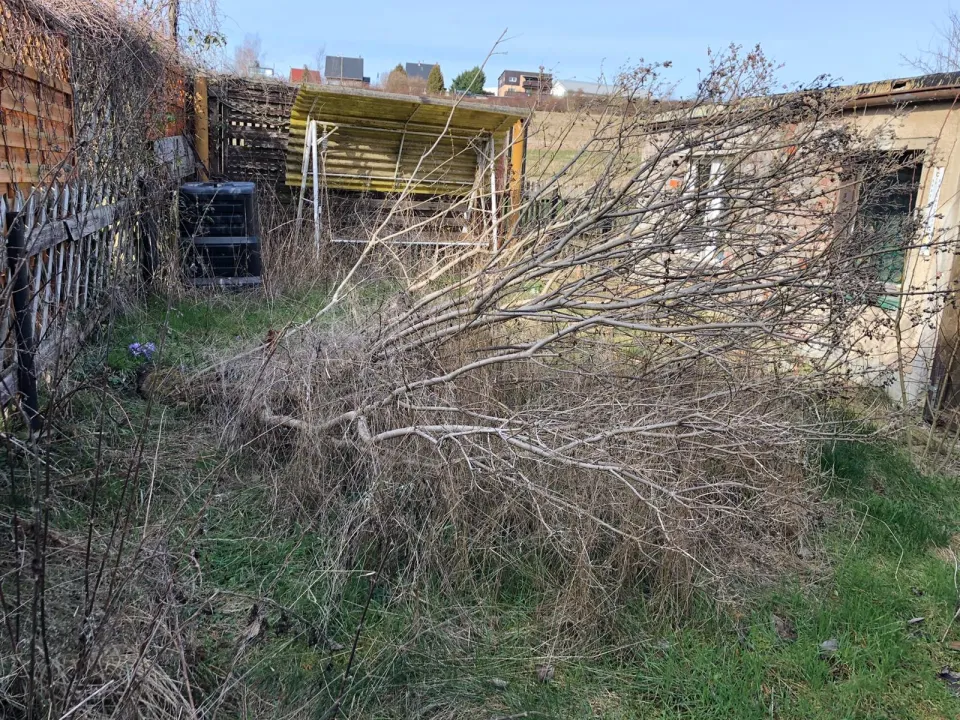 Gartenbereinigung in Zwickau und Umgebung – Foto 11