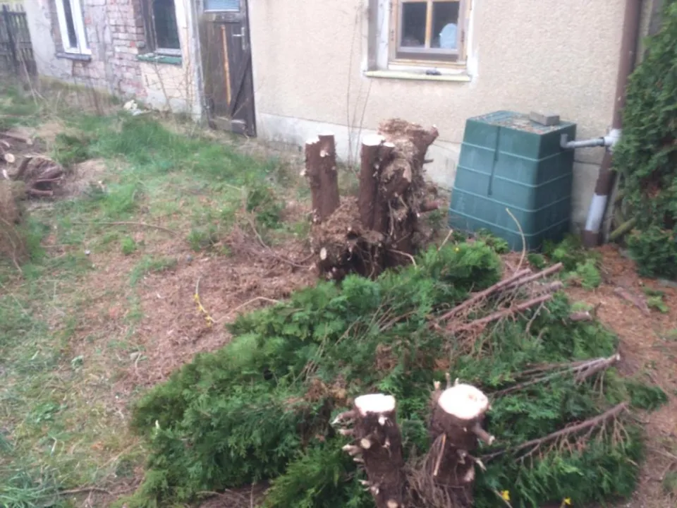 Gartenbereinigung in Zwickau und Umgebung – Foto 8