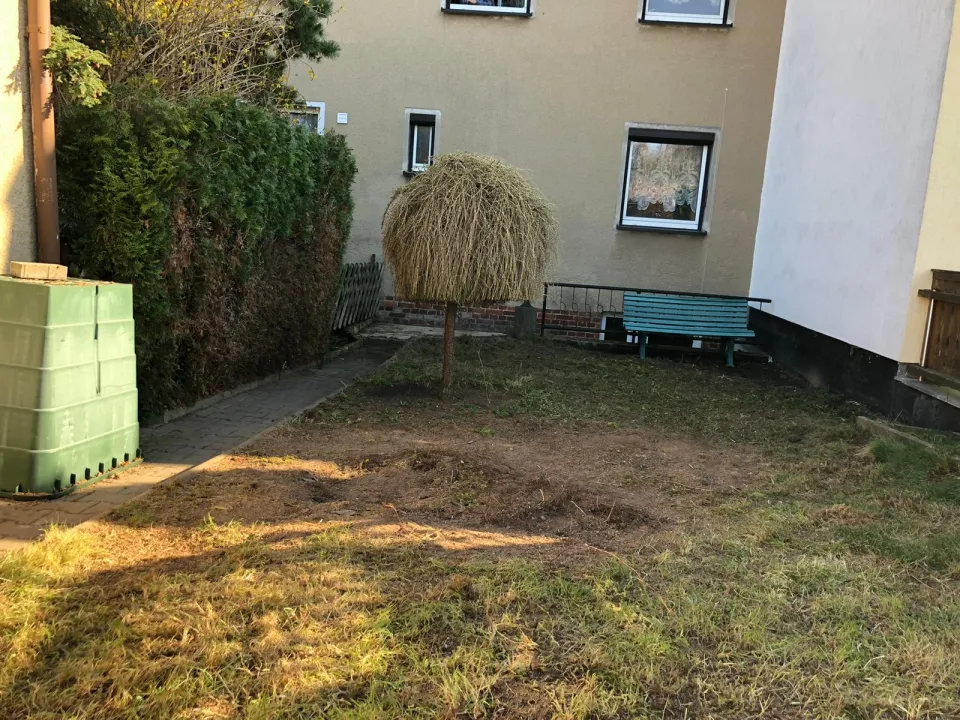 Gartenbereinigung in Zwickau und Umgebung – Foto 5