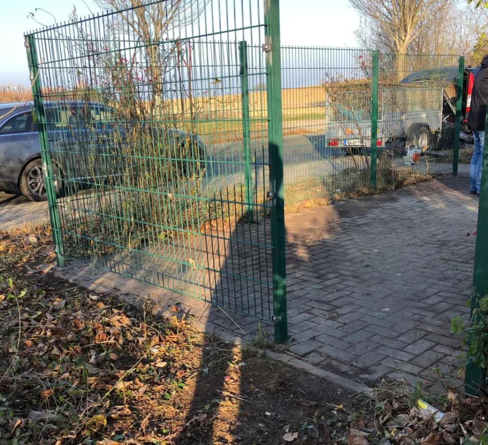 Grünpflege auch am Müllplatz in Zwickau und Umgebung – Foto 11