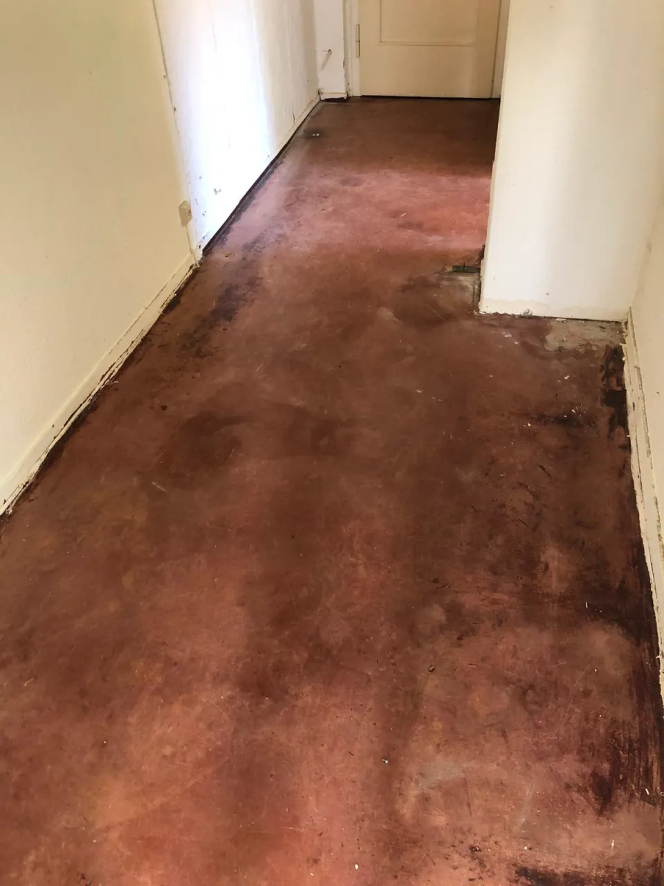 Haushaltsauflösung in Aue in Aue – Foto 20