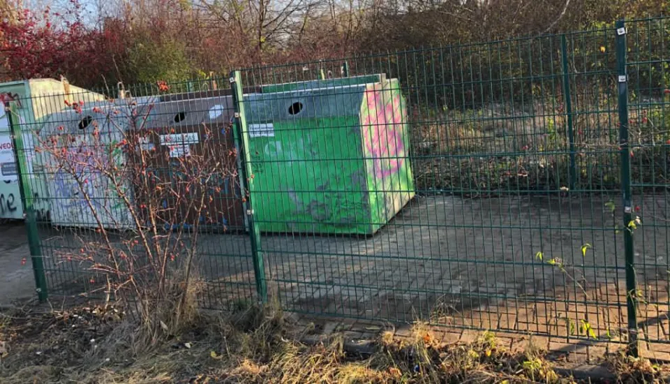 Grünpflege auch am Müllplatz in Zwickau und Umgebung – Foto 10