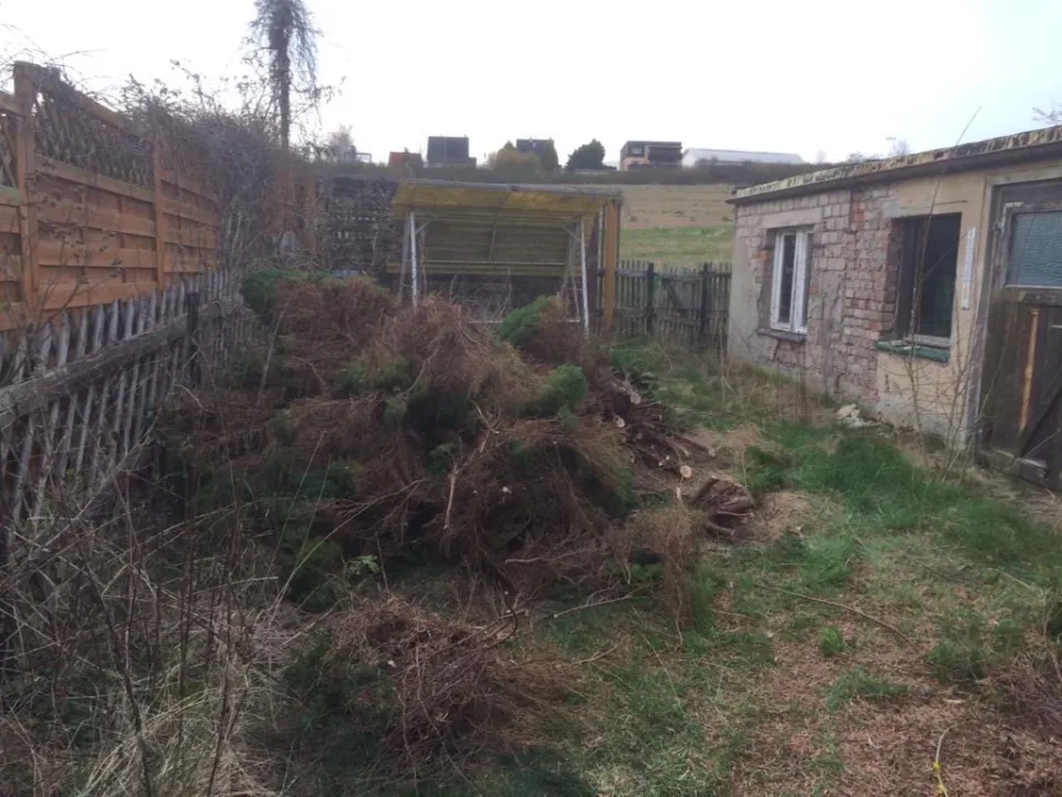 Zugewucherter Garten mit Gestrüpp und Grünschnitt vor dem Einsatz