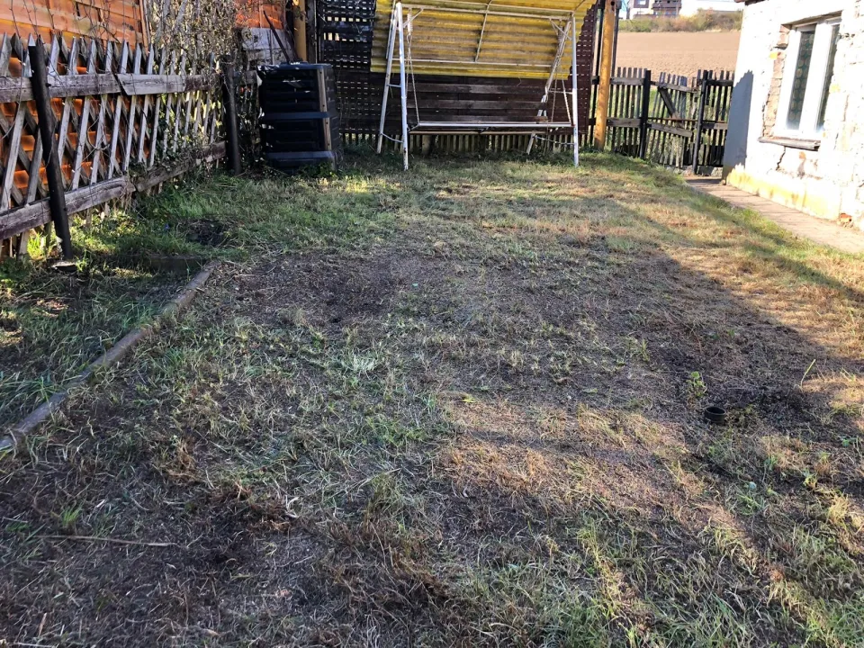 Gartenbereinigung in Zwickau und Umgebung – Foto 7