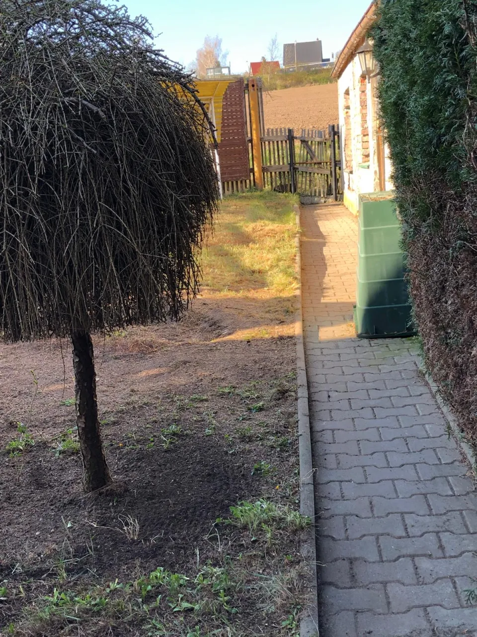 Gartenbereinigung in Zwickau und Umgebung – Foto 10