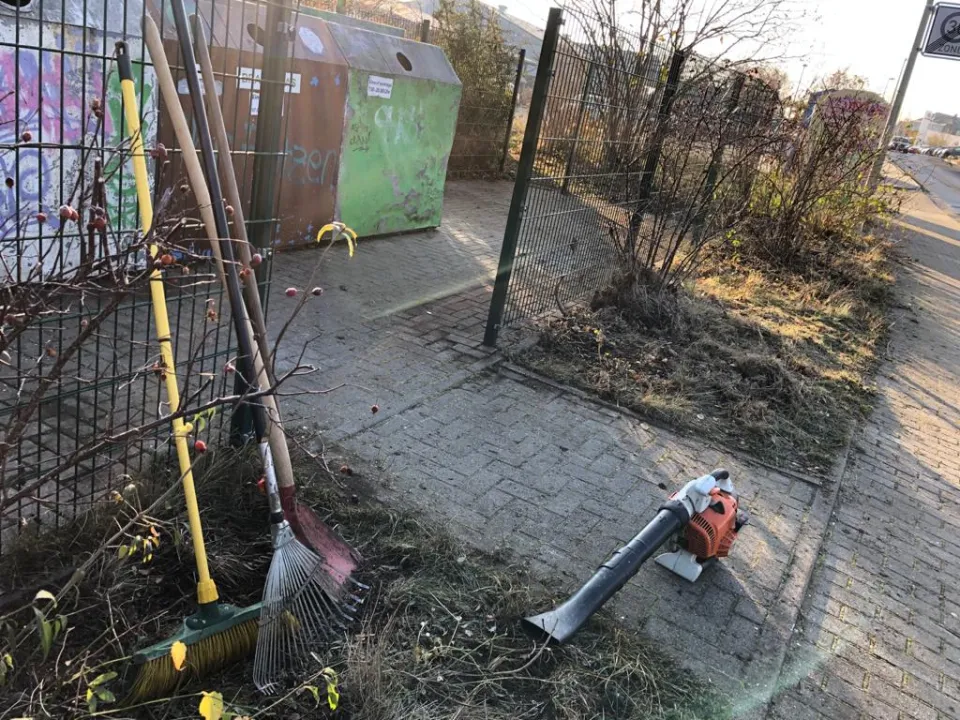 Grünpflege auch am Müllplatz in Zwickau und Umgebung – Foto 8