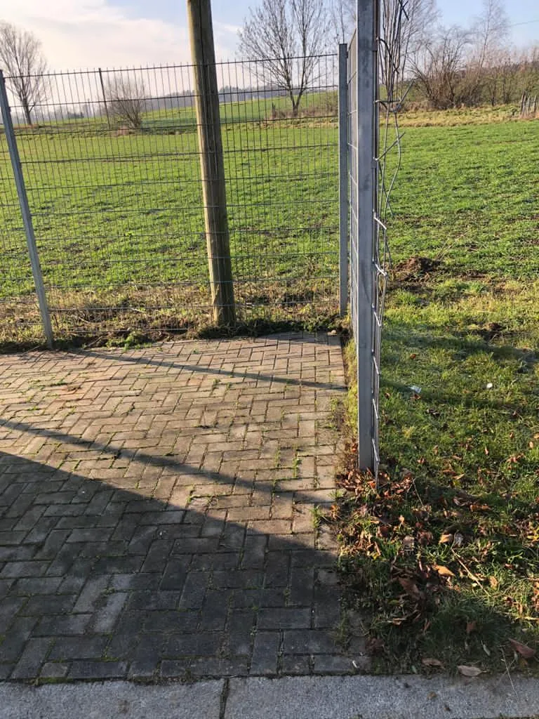 Grünpflege auch am Müllplatz in Zwickau und Umgebung – Foto 7