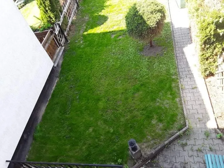 Gartenbereinigung in Zwickau und Umgebung – Foto 13