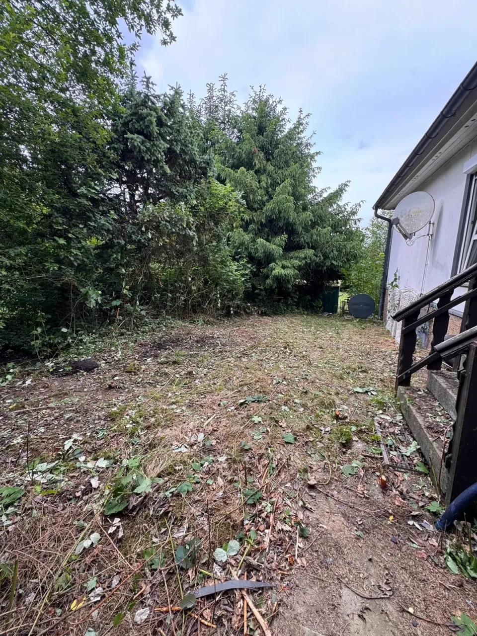 Grünschnittbeseitigung – Vorher/Nachher auf einen Blick in Zwickau und Umgebung – Foto 7