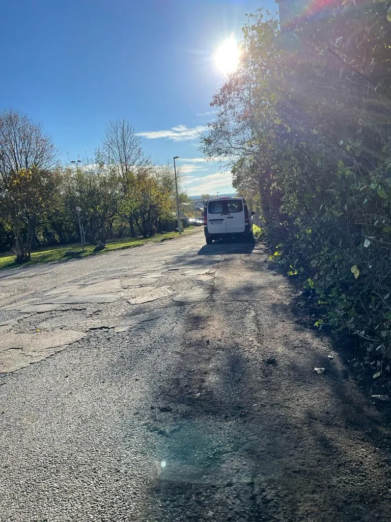 Gehwegreinigung in Zwickau in Zwickau – Foto 10