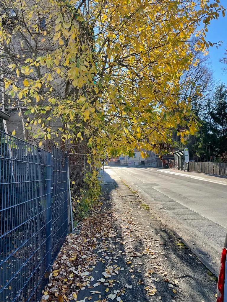Gehwegreinigung in Zwickau in Zwickau – Foto 4