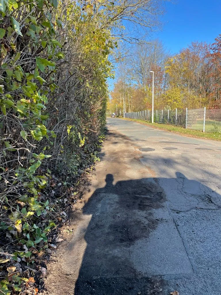 Gehwegreinigung in Zwickau in Zwickau – Foto 8