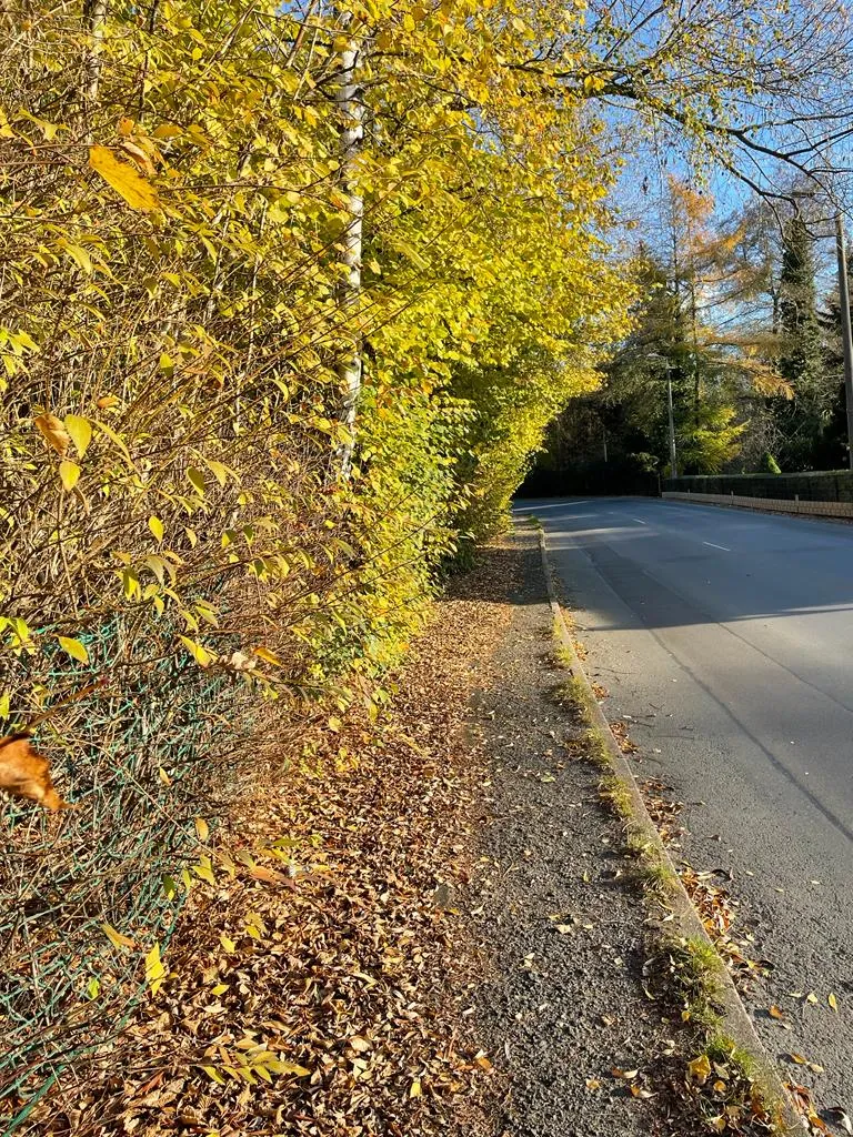 Gehwegreinigung in Zwickau in Zwickau – Foto 12