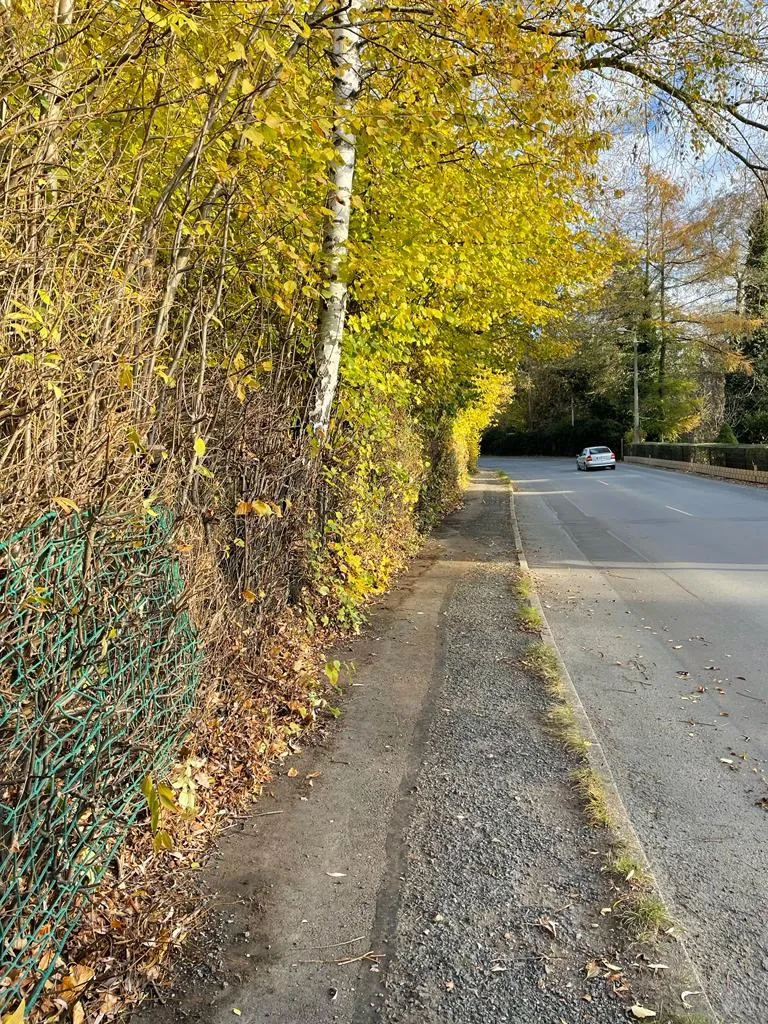 Gehwegreinigung in Zwickau in Zwickau – Foto 13