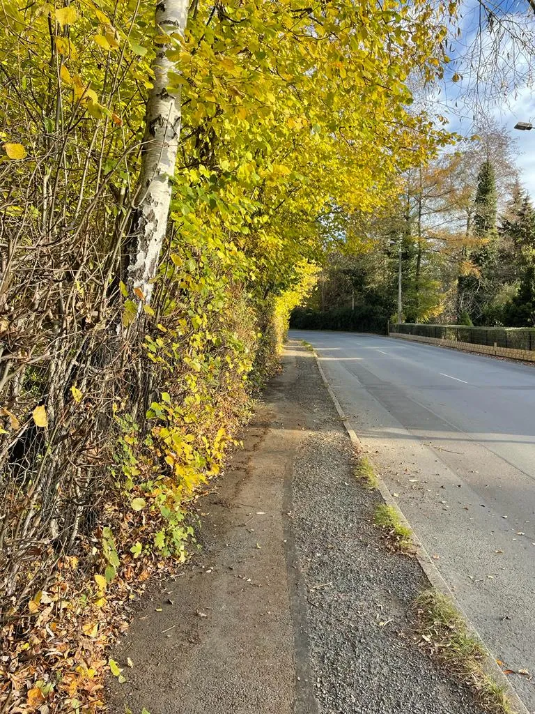 Gehwegreinigung in Zwickau in Zwickau – Foto 14