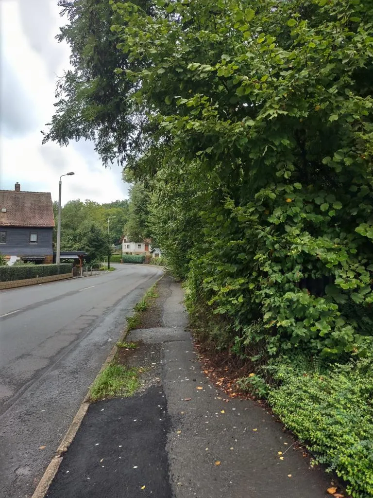 Gehwegreinigung in Zwickau in Zwickau – Foto 16