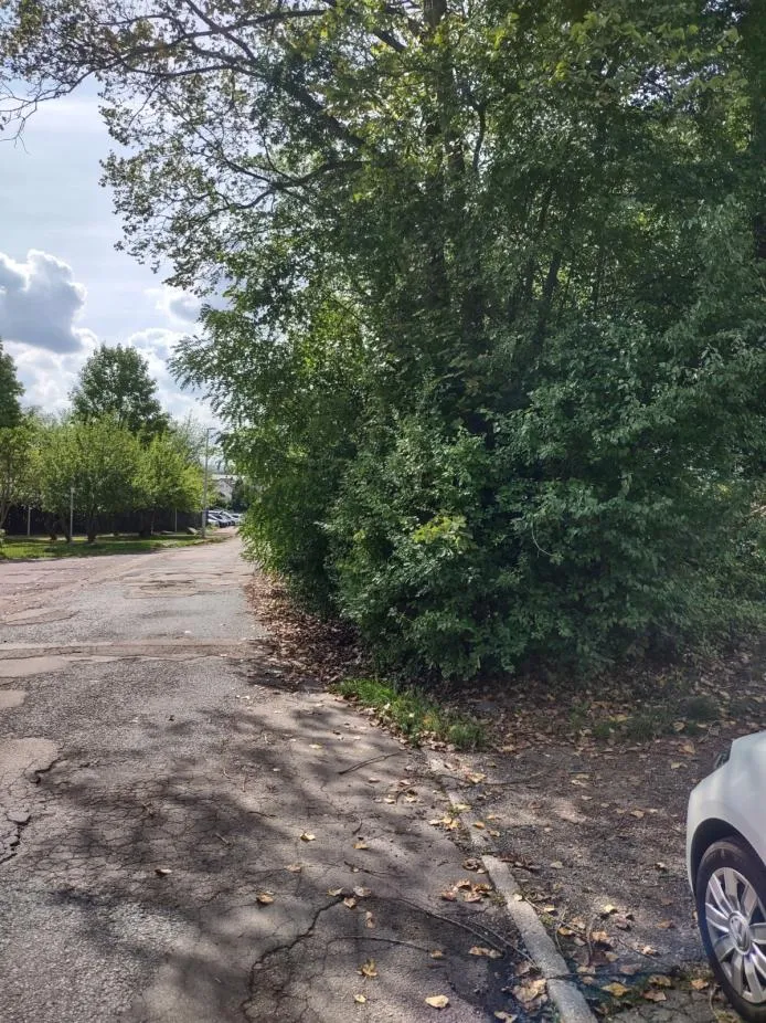 Gehwegreinigung in Zwickau in Zwickau – Foto 2