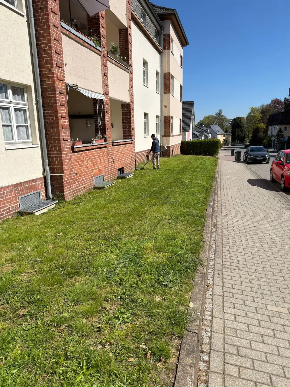 Rasenpflege in Crimmitschau – gepflegte Außenanlagen in Crimmitschau – Foto 4