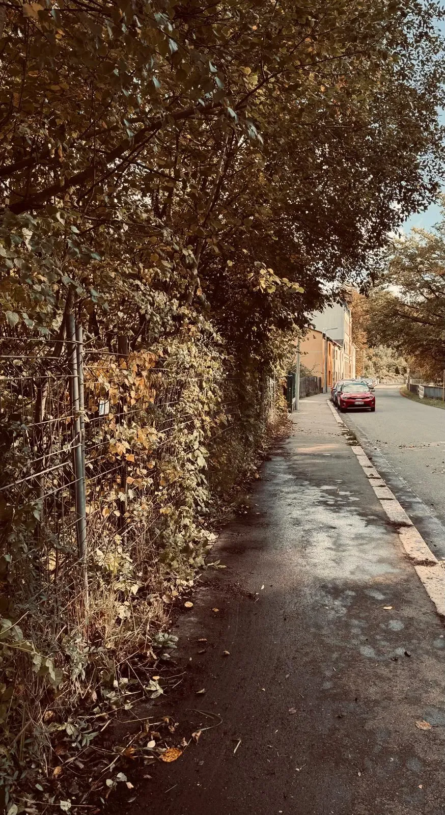 Gehweg-Freischneidung in Zwickau – Sicherheit und Sauberkeit in Zwickau – Foto 2