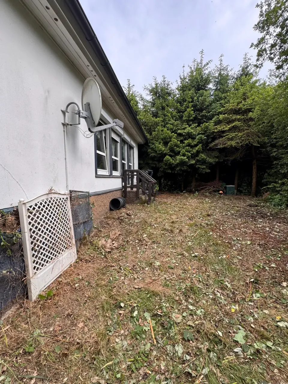 Grünschnittbeseitigung – Vorher/Nachher auf einen Blick in Zwickau und Umgebung – Foto 6