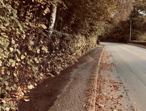 Gehweg-Freischneidung in Zwickau – Sicherheit und Sauberkeit durch unseren Hausmeisterservice