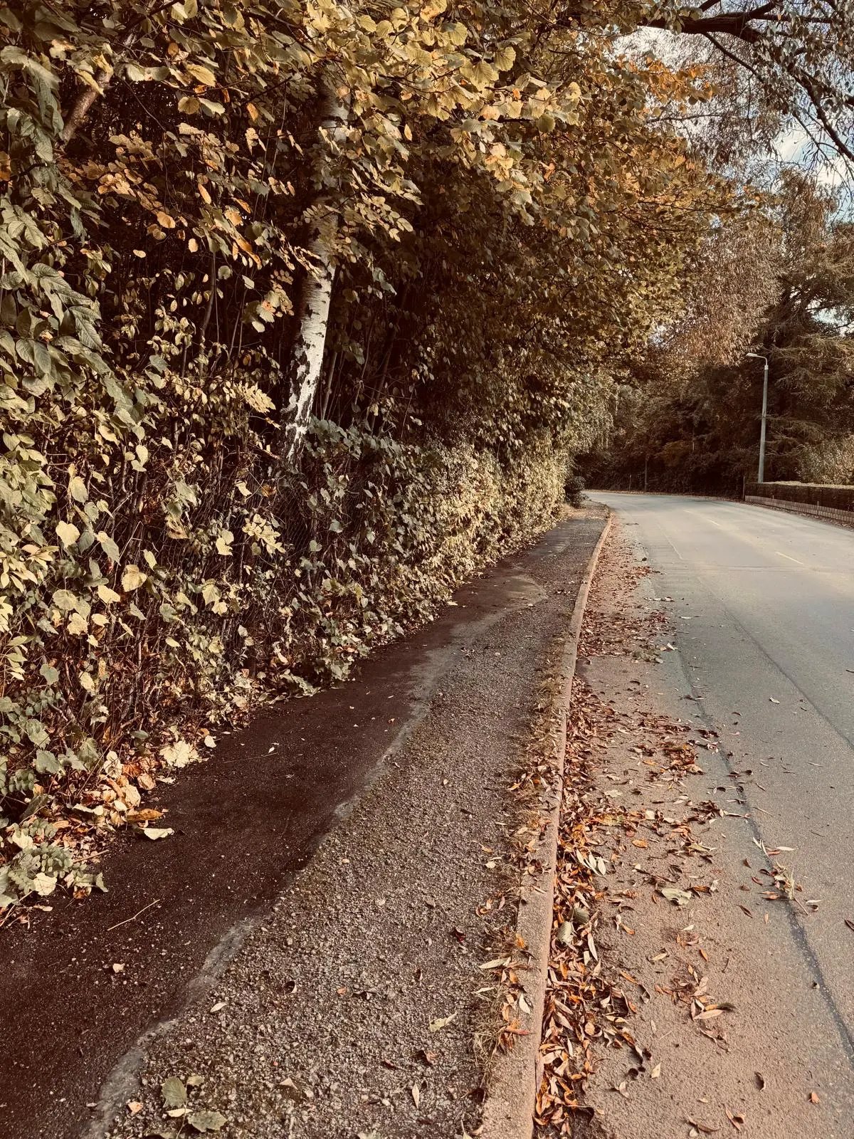 service-in_zwickau_1