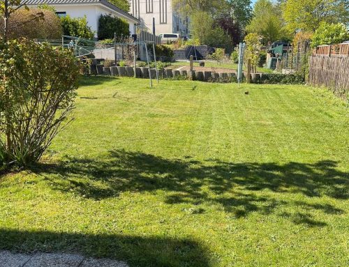 🌿 Rasenpflege in Crimmitschau – gepflegte Außenanlagen mit Hausmeisterservice Barth 🌿
